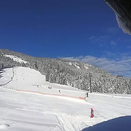 فندق Walchauhof فلاخاو