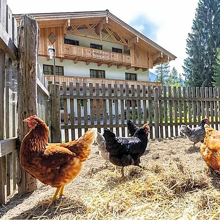 Walchauhof فندق *