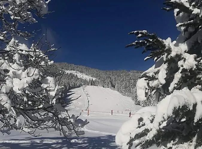 Walchauhof * Flachau